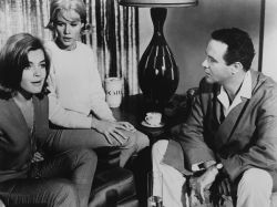 media gallery photos